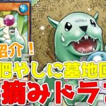 【ラッシュデュエル】新規紹介！手摘みドラコ！墓地肥やしに墓地回収！攻撃力0や罠を再利用！！！【遊戯王】
