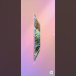 メガライジング（ギャ13-14）#pokemon  #カード #ポケポケ  #shorts #shortvideo  #ポケカ最新情報   #新弾  #毎日開封  #おまけ #ポケモンカード #ポケ