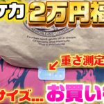 【ポケカ福袋】2万円でこの重量！？きっと福がたくさん詰まってるんだろうなー（棒）