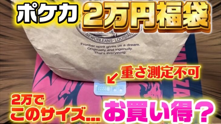 【ポケカ福袋】2万円でこの重量！？きっと福がたくさん詰まってるんだろうなー（棒）