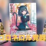 2体の新規ユニットでロロネロル覚醒!? ヴァンガード対戦動画(ロロネロルVSダイアフルドール)