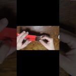 【#遊戯王ラッシュデュエル】バトルパックを開封！！2025年11月16日【#shorts 】