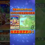 コスモス姫テーマカード最新価格情報！2025/11/18【#遊戯王 #ラッシュデュエル #shorts 】