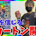【新時代】これでどうだぁああ!!!!!!!第3回Heroines Edition2カートン開封！（ワンピースカード）