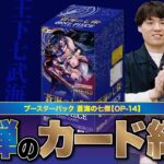 【ワンピースカード】新弾！王下七武海！ということで、ブースターパック 「蒼海の七傑【OP-14】」をS〜Cで評価しました！
