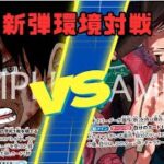 【ワンピースカード】蒼海の七傑 新弾環境対決 　赤青エースVS緑ミホーク