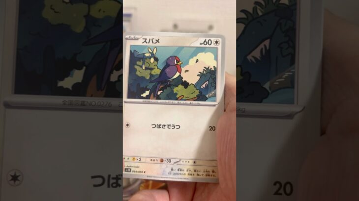 pokemon ポケモンカード　パック開封　ロケット団の栄光　#pokemon #ポケモンカード25周年 #ポケカ #ポケモン #ポケモンカード #ポケカ開封 #25周年#新弾開封