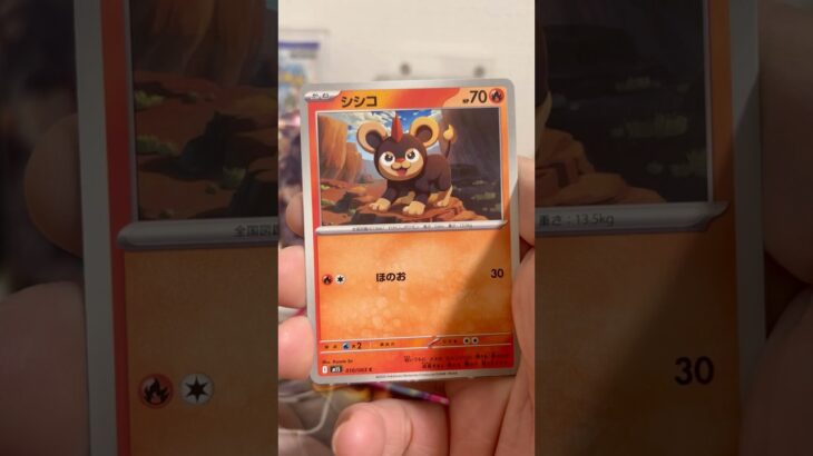 pokemon ポケモンカード　パック開封　メガシンフォニア　#pokemon #ポケモンカード25周年 #ポケカ #ポケモン #ポケモンカード #ポケカ開封 #25周年#新弾開封