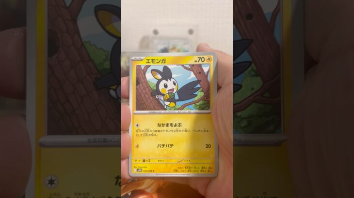 pokemon ポケモンカード　パック開封　ブラックボルト　#pokemon #ポケモンカード25周年 #ポケカ #ポケモン #ポケモンカード #ポケカ開封 #25周年#新弾