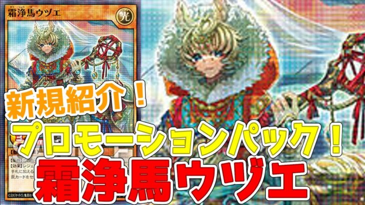 【ラッシュデュエル】新規紹介！霜浄馬ウヅエ！墓地の通常罠カードを回収できる！だがしかし！！！【遊戯王】