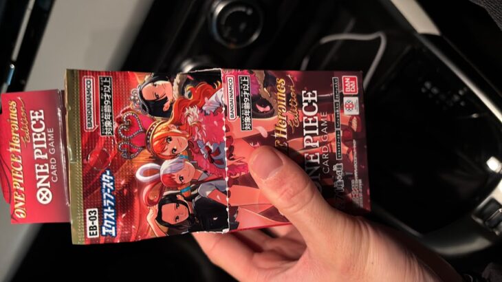 ポコチーのワンピカード開封の儀