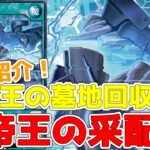 【ラッシュデュエル】新規紹介！帝王の采配！帝王の墓地回収！下級モンスターを回収できる！！！【遊戯王】
