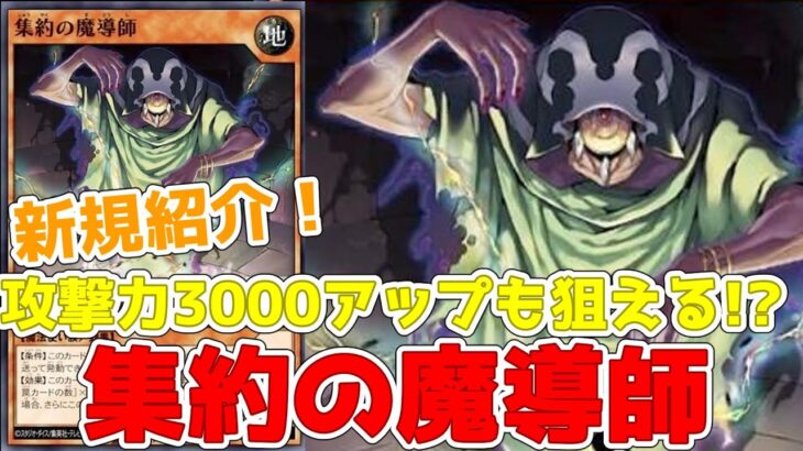 【ラッシュデュエル】新規紹介！集約の魔導師！攻撃力アップできる楽しい魔法使い族！！！【遊戯王】