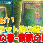 【ラッシュデュエル】新規紹介！生者の書ー禁断の呪術ー！アンデット族を手軽に蘇生できる！！！【遊戯王】