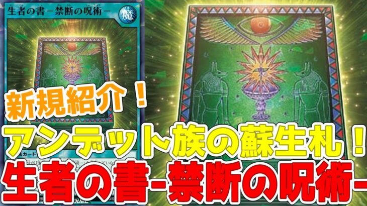 【ラッシュデュエル】新規紹介！生者の書ー禁断の呪術ー！アンデット族を手軽に蘇生できる！！！【遊戯王】