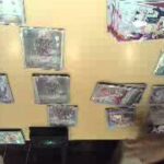 ヴァンガード マジェvsレナ