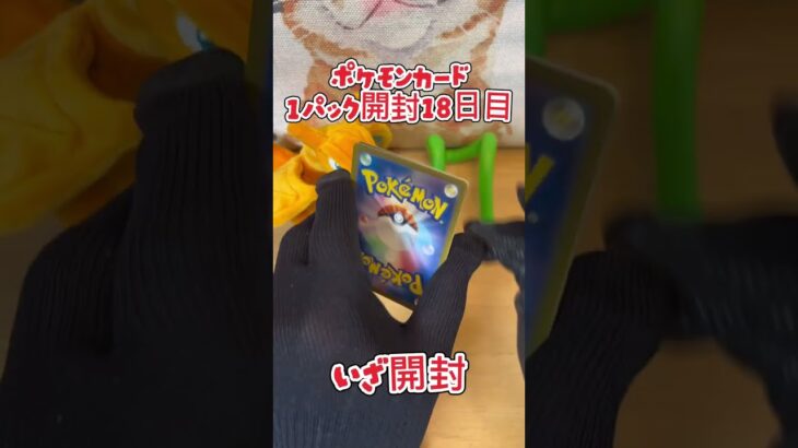ポケモンカード黒炎の支配者1パック開封18日目・・・#pokemon  #ポケモン #ポケモンカード#開封動画