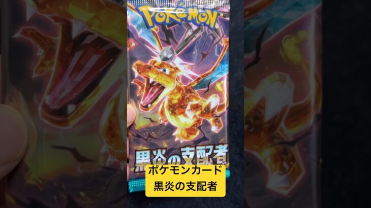 ポケモンカード 黒炎の支配者13