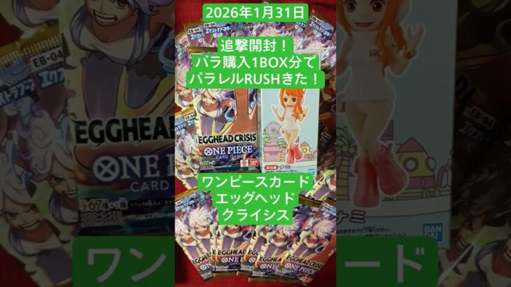 新弾追撃！開封ばら購入1BOX分の２４Pで偏った！#エクストラブースター　#エッグヘッド　#クライシス　#ワンピースカードゲーム　#開封動画　#EGGHEAD CRISIS