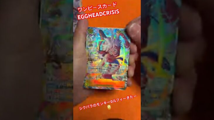 2026.1.31 #新弾 #ワンピースカードゲーム #エキストラブースター #EGGHEADCRISIS #EB04 #開封生配信 #開封 #生配信 #shorts