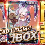 【１BOX開封】「ワンピースカードゲーム エクストラブースター EGGHEAD CRISIS【EB-04】」紹介! 初心者必見！スタートデッキと組み合わせたいカードも紹介【バンマニ!】【バンダイ公式】