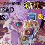 【新弾紹介】全カード、使い方まで徹底解説！『EGGHEAD CRISIS【EB04】』カード紹介＆評価‼青色、紫色編【ワンピースカード】【解説動画】