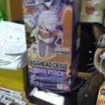 【圧倒的、爆死】 ワンピースカードゾロSR引けない＝大爆死の敗北者デスゲームと化したエッグヘッドクライシス開封結果がヤバい【onepiece】