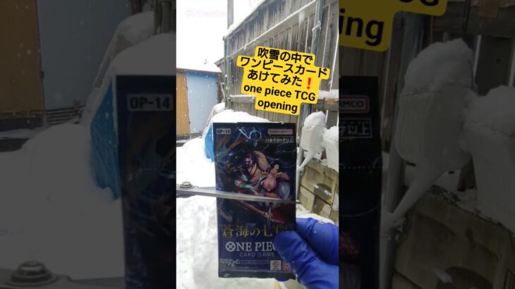 【ワンピースカード】吹雪の中で蒼海の七傑を開封 one piece TCG Pack opening #shorts