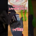 ポケモンカードレイジングサーフ1パック開封32日目・・・#pokemon  #ポケモン #ポケモンカード#開封動画
