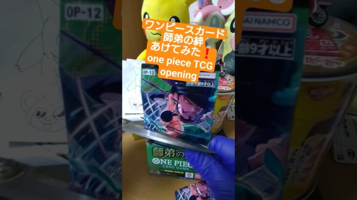 【ワンピースカード開封】三千世界の先へ――師弟の絆で3万円超えのゾロ《亡者戯》を引く挑戦 one piece TCG Pack opening #shorts