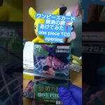 【ワンピースカード開封】三千世界の先へ――師弟の絆で3万円超えのゾロ《亡者戯》を引く挑戦 one piece TCG Pack opening #shorts