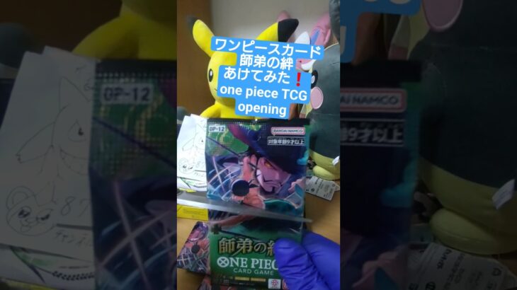 【ワンピースカード開封】三千世界の先へ――師弟の絆で3万円超えのゾロ《亡者戯》を引く挑戦 one piece TCG Pack opening #shorts