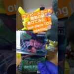 【ワンピースカード開封】三千世界の先へ――師弟の絆で3万円超えのゾロ《亡者戯》を引く挑戦 one piece TCG Pack opening #shorts