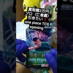 【ワンピースカード開封】三千世界の先へ――師弟の絆で3万円超えのゾロ《亡者戯》を引く挑戦 one piece TCG Pack opening #shorts