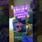 【ワンピースカード開封】三千世界の先へ――師弟の絆で3万円超えのゾロ《亡者戯》を引く挑戦 one piece TCG Pack opening #shorts