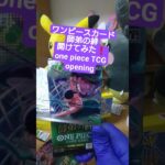 【ワンピースカード開封】三千世界の先へ――師弟の絆で3万円超えのゾロ《亡者戯》を引く挑戦 one piece TCG Pack opening #shorts