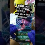 【ワンピースカード開封】三千世界の先へ――師弟の絆で3万円超えのゾロ《亡者戯》を引く挑戦 one piece TCG Pack opening #shorts