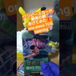 【ワンピースカード開封】三千世界の先へ――師弟の絆で3万円超えのゾロ《亡者戯》を引く挑戦 one piece TCG Pack opening #shorts