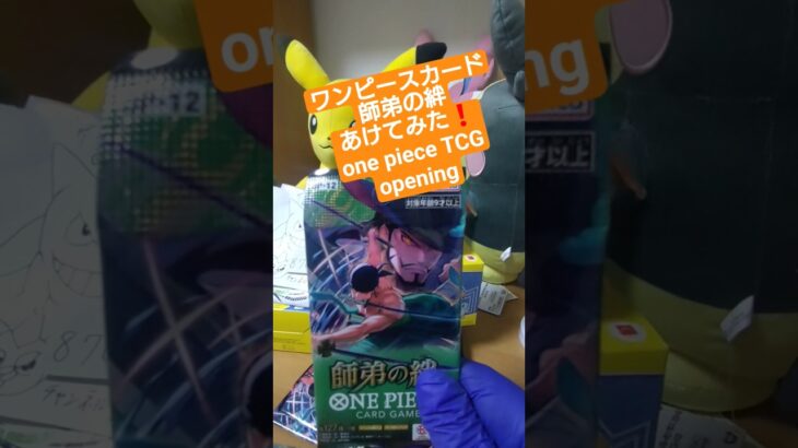 【ワンピースカード開封】三千世界の先へ――師弟の絆で3万円超えのゾロ《亡者戯》を引く挑戦 one piece TCG Pack opening #shorts