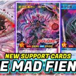 DESPAIR AND DESIRE!!! NEW SUPPORT! Mad Fiend of Despair Deck Testing! | Yu-Gi-Oh Rush Duel | EDOPRO