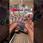 【気ままに開封シリーズ】ONE PIECE カード EGGHEAD CRISIS 4パック その1