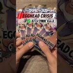 【新弾】ONE PIECE カード EGGHEAD CRISIS 4パック その2