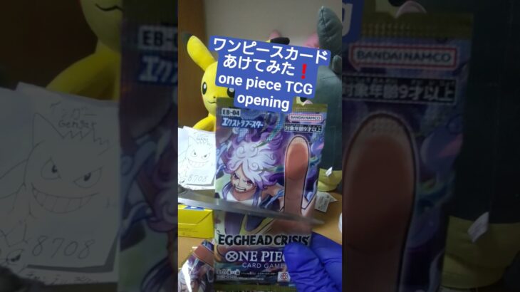 【ワンピースカード開封】エッグヘッドクライシス！ゾロSR引けなければ大爆死の敗北者 one piece TCG EGGHEAD CRISIS Pack opening #shorts