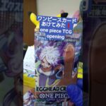 【ワンピースカード開封】エッグヘッドクライシス！ゾロSR引けなければ大爆死の敗北者 one piece TCG EGGHEAD CRISIS Pack opening #shorts