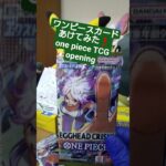 【ワンピースカード開封】エッグヘッドクライシス！ゾロSR引けなければ大爆死の敗北者 one piece TCG EGGHEAD CRISIS Pack opening #shorts