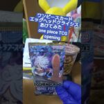 【ワンピースカード開封】エッグヘッドクライシス！ゾロSR引けなければ大爆死の敗北者 one piece TCG EGGHEAD CRISIS Pack opening #shorts