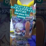 【ワンピースカード開封】エッグヘッドクライシス！ゾロSR引けなければ大爆死の敗北者 one piece TCG EGGHEAD CRISIS Pack opening #shorts