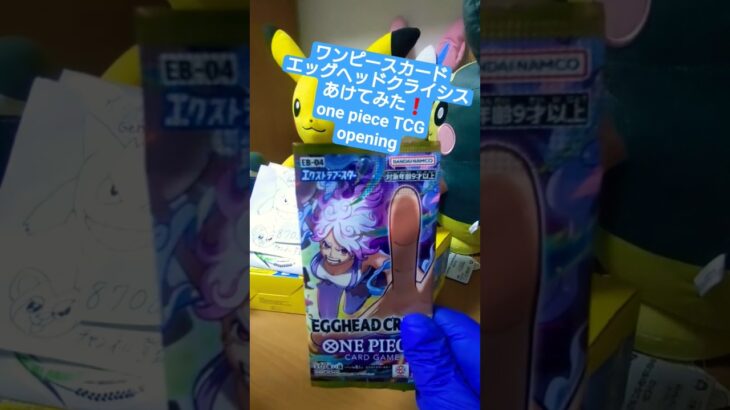 【ワンピースカード開封】エッグヘッドクライシス！ゾロSR引けなければ大爆死の敗北者 one piece TCG EGGHEAD CRISIS Pack opening #shorts