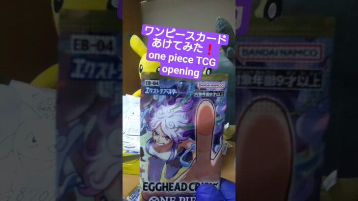 【ワンピースカード開封】エッグヘッドクライシス！ゾロSR引けなければ大爆死の敗北者 one piece TCG EGGHEAD CRISIS Pack opening #shorts