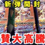 【ワンピースカード】SRが強すぎる！新弾エッグヘッドクライシスを3BOX開封！！